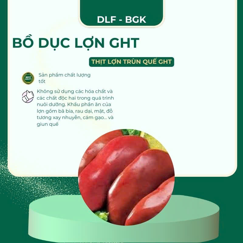 Bồ dục lợn GHT