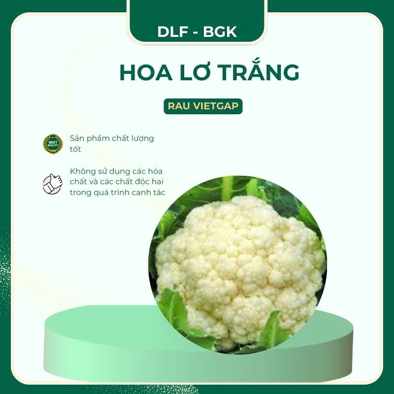 Hoa lơ trắng