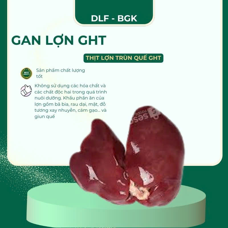 Gan lợn GHT