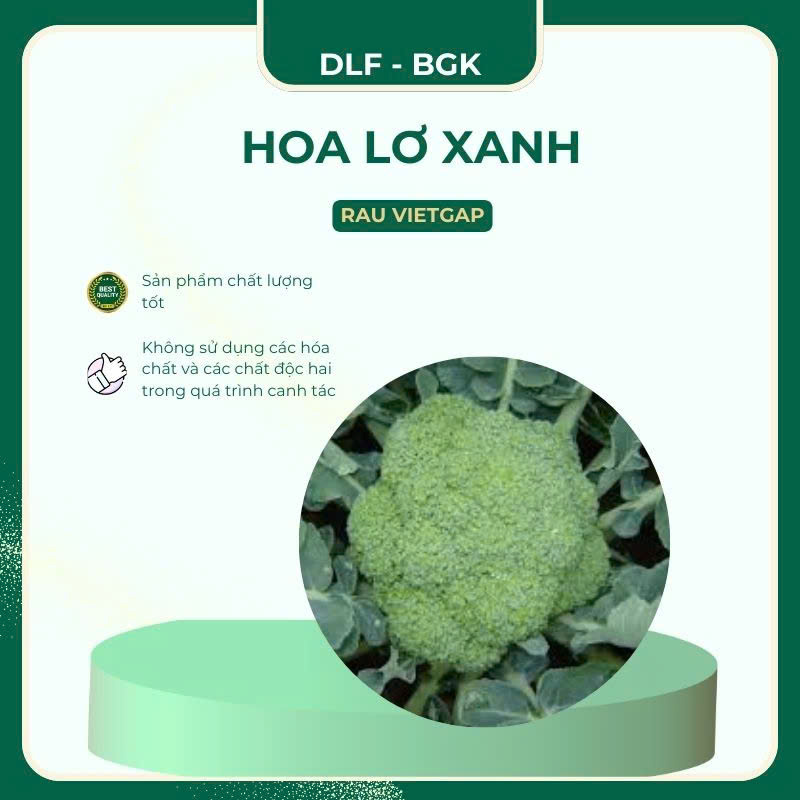 Hoa lơ xanh