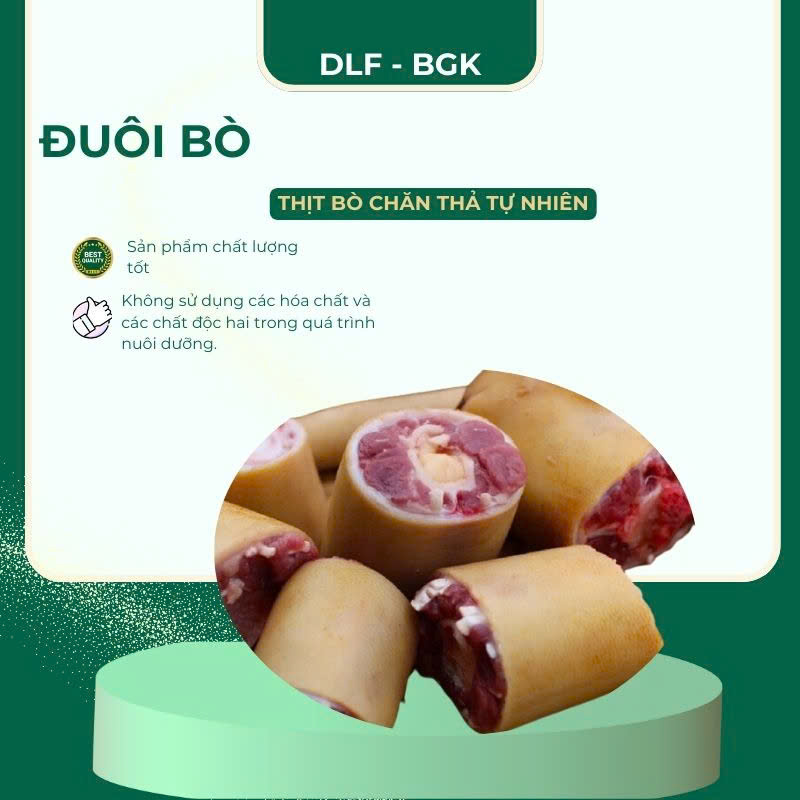 Đuôi bò
