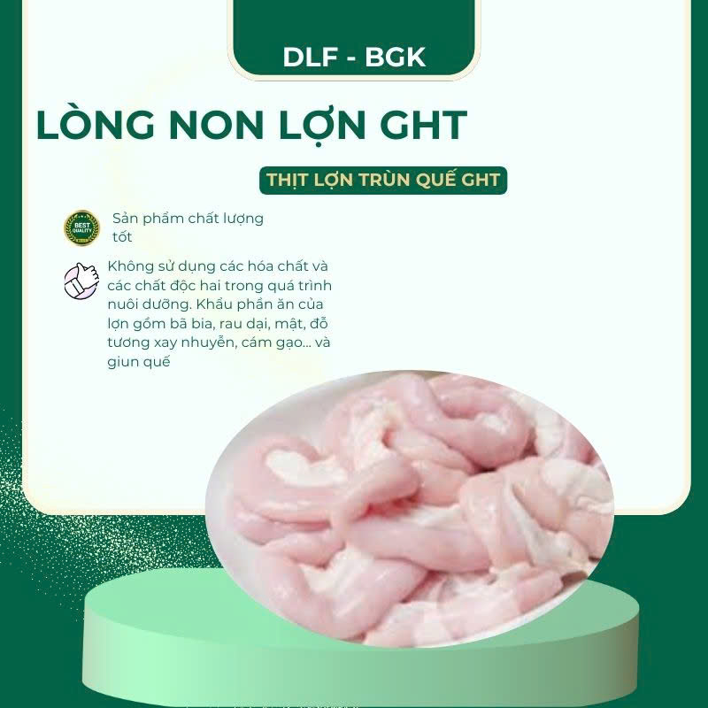 Lòng non lợn GHT