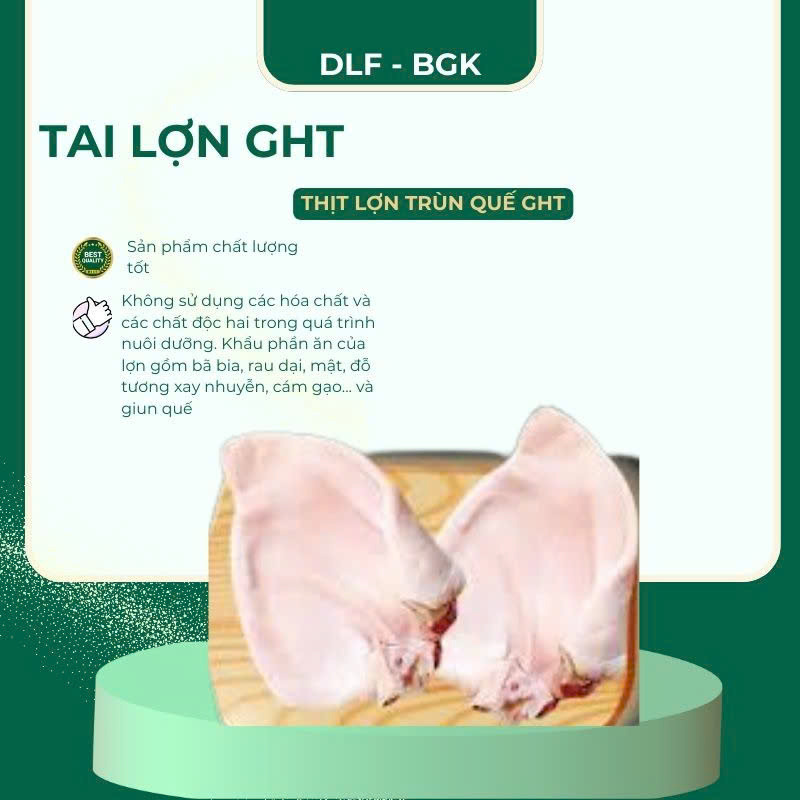 Tai lợn GHT
