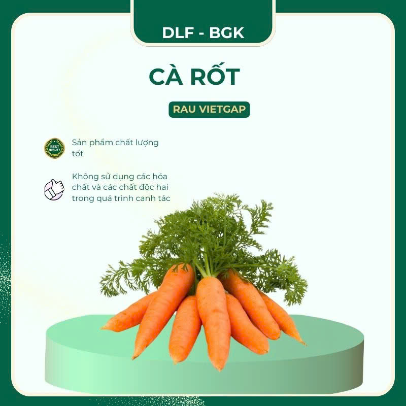 Cà rốt