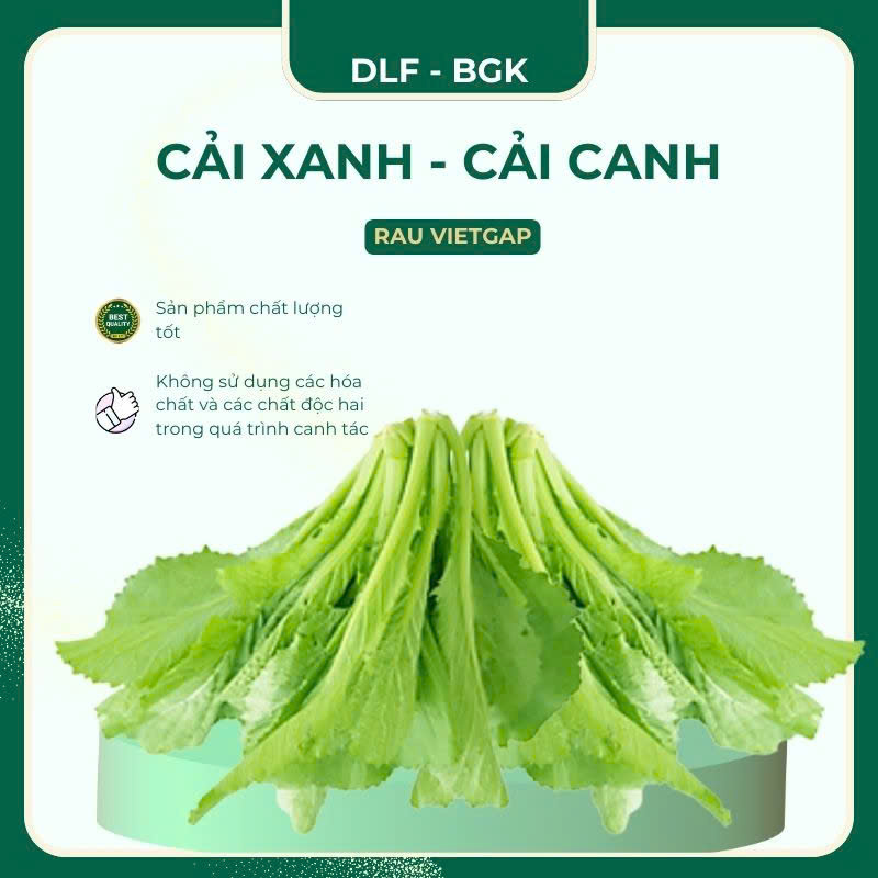 Cải xanh - cải canh