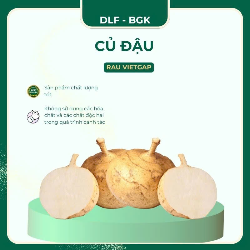Củ đậu