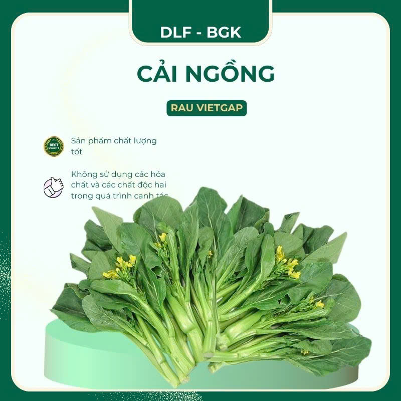 Cải ngồng