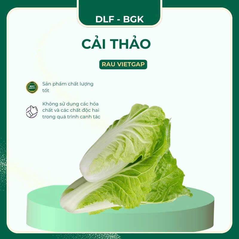 Cải thảo