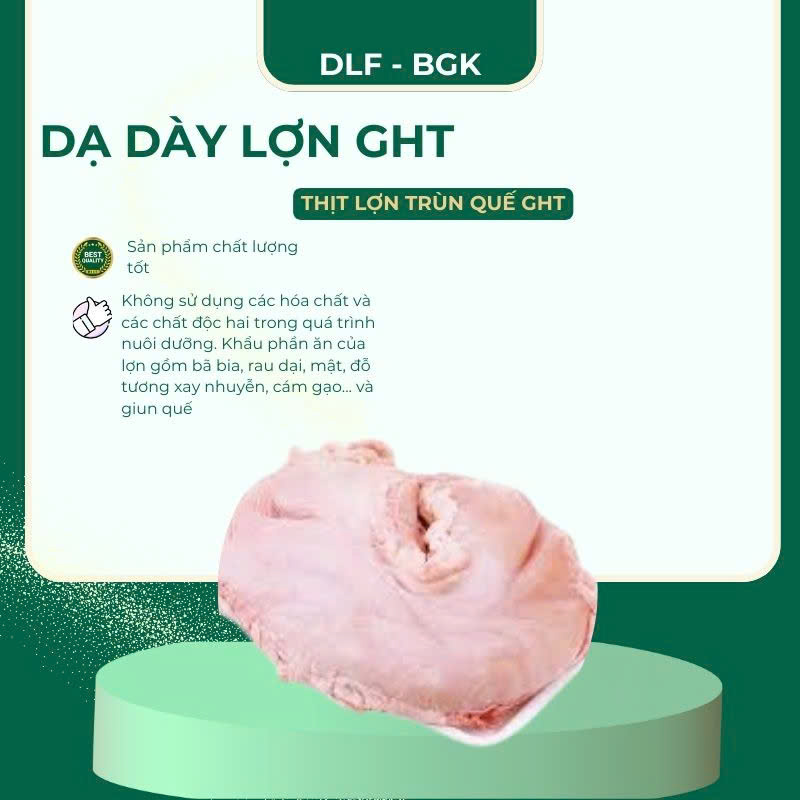 Dạ dày lợn GHT