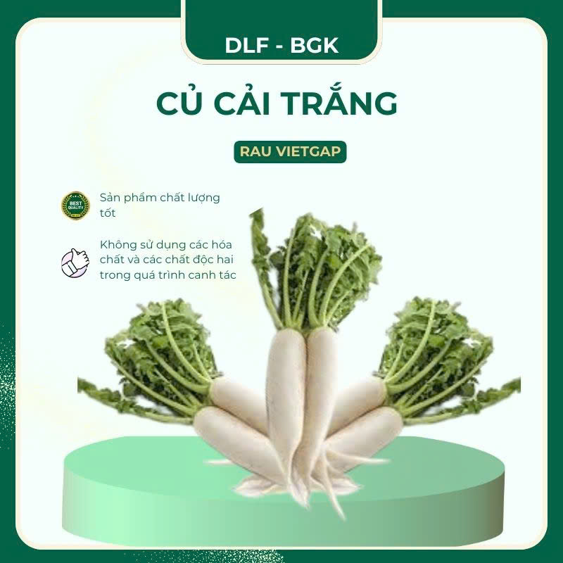 Củ cải trắng