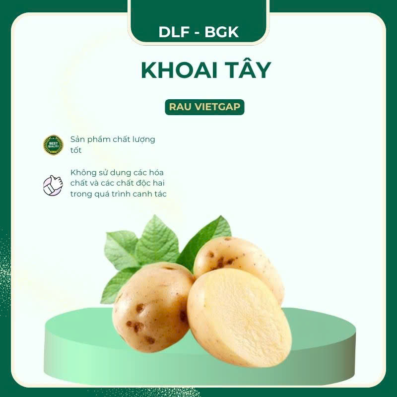Khoai tây - VIETGAP