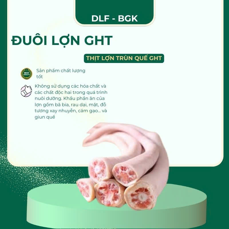 Đuôi lợn GHT
