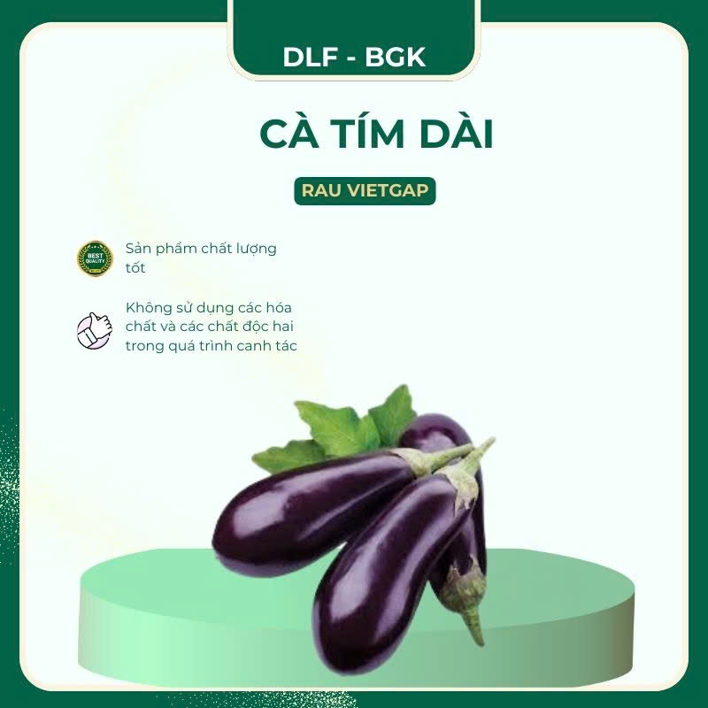 Cà tím dài