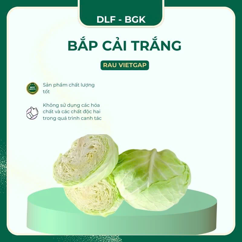 Bắp cải trắng