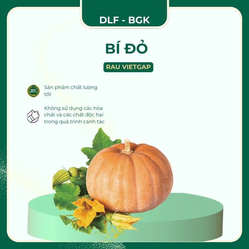 Bí đỏ