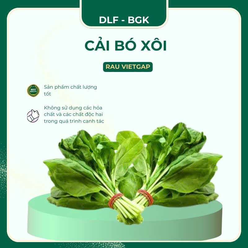 Cải bó xôi