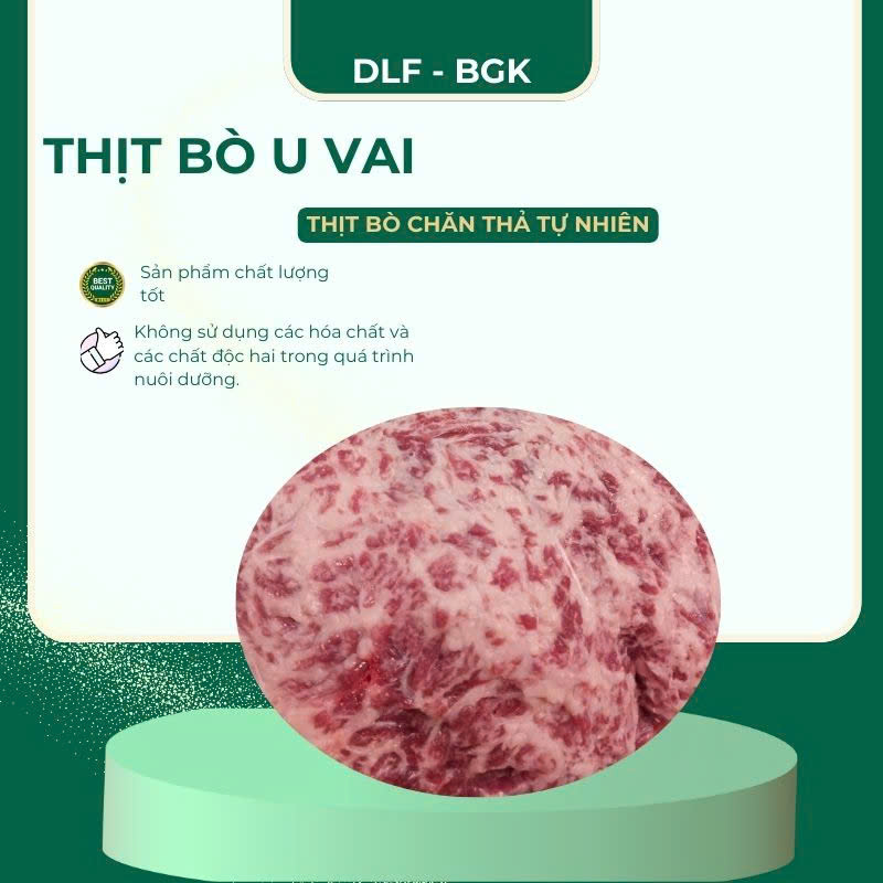 Thịt bò u vai