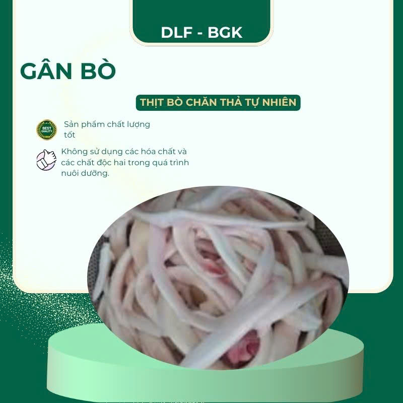 Gân bò
