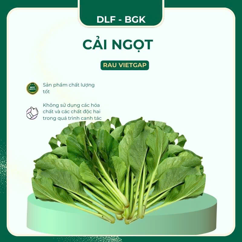 Cải ngọt