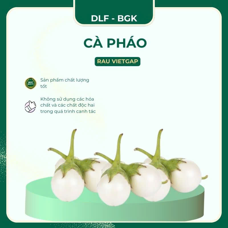 Cà pháo