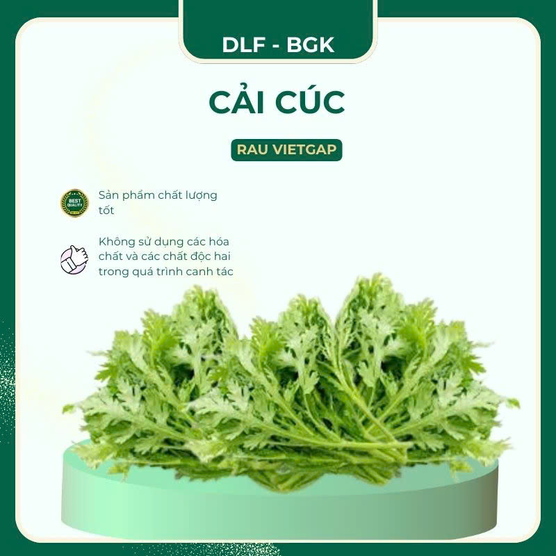 Cải cúc