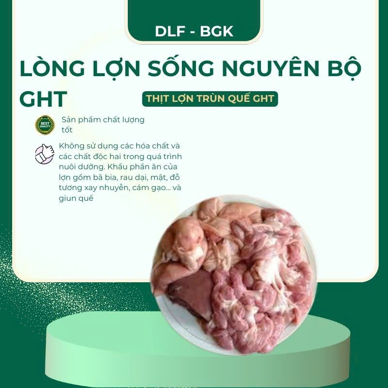 Lòng lợn sống nguyên bộ GHT