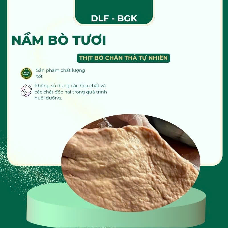 Nầm bò tươi