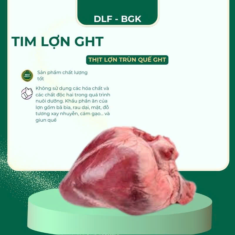 Tim Lợn GHT