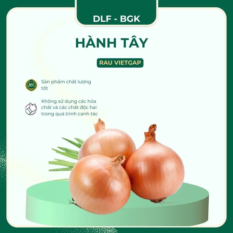 Hành Tây