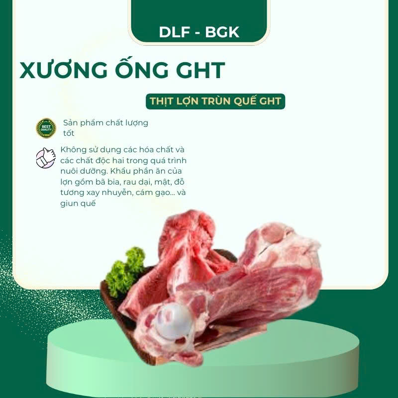 Xương ống GHT