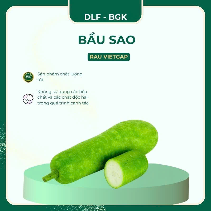 Bầu