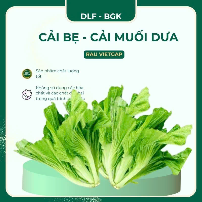 Cải bẹ